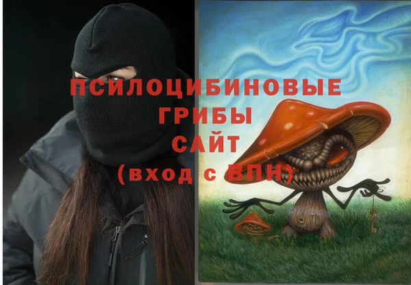 а пвп мука Елабуга