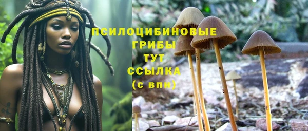 стаф Елизово