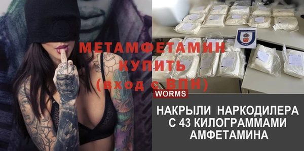 стаф Елизово