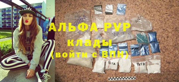стаф Елизово