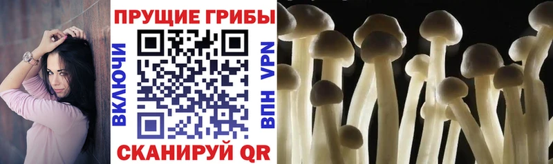 Псилоцибиновые грибы мухоморы  Купить закладки  Киренск 